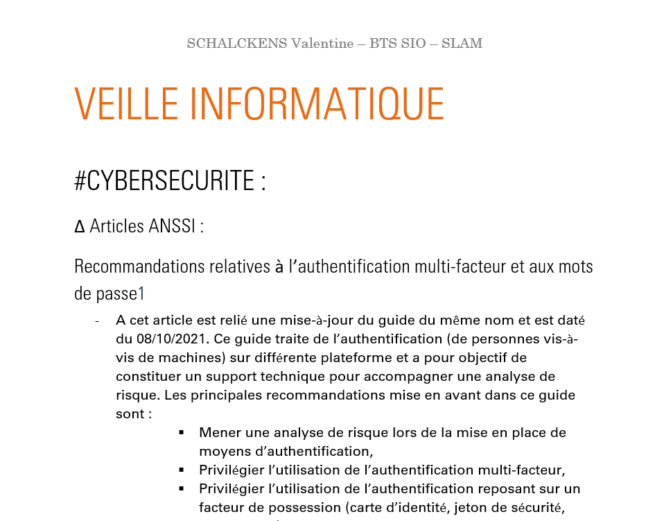 Screen du PDF de la synthèse sur la Gestion du Patrimoine Informatique