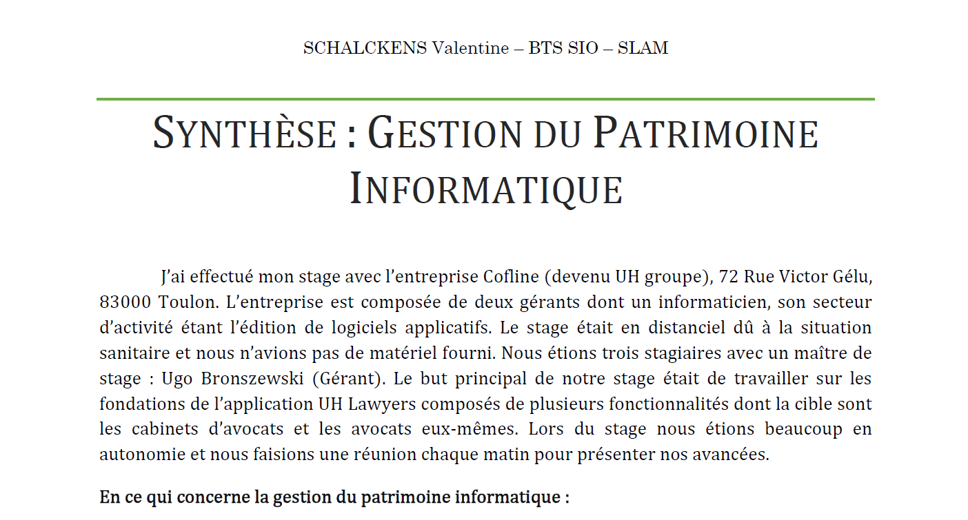 Screen du PDF de la synthèse sur la Gestion du Patrimoine Informatique